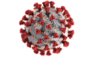 close up view of COVID-19 virus