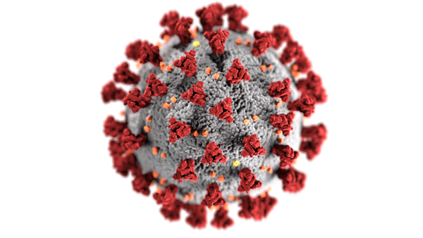 close up view of COVID-19 virus