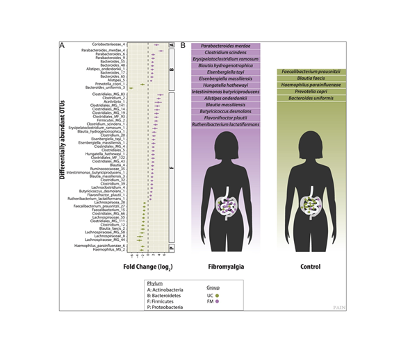 Results from comparative analysis of the gut microbiomes of healthy women with fibromyalgia patients