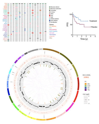OncoPrint and circos plot showing multiple genomic alteration events in tumor samples.