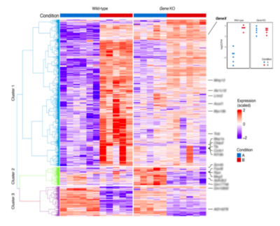 Heat map of differentially expressed genes.