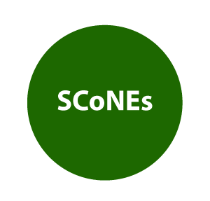 SCoNEs logo