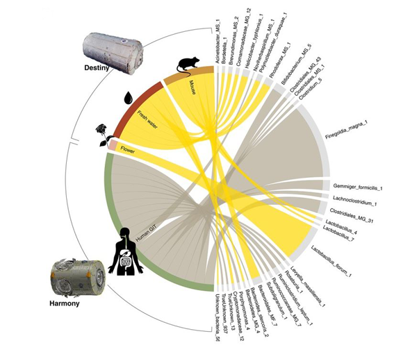 SS Destiny and Harmony Module differential abundance