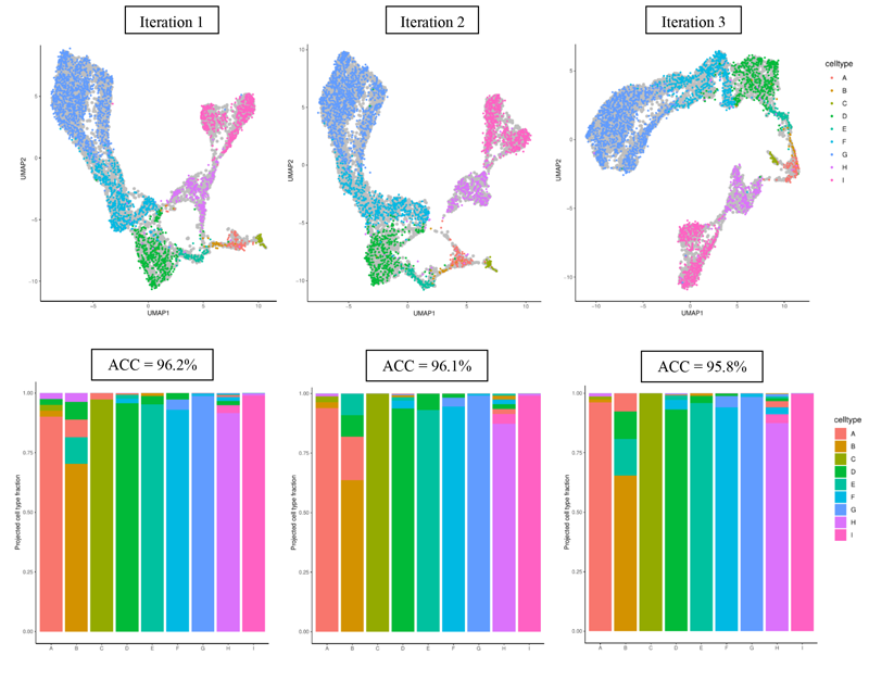 Illustration of results of three iterations using UMAP representation